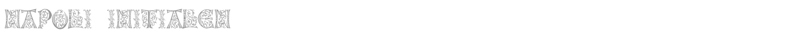 Napoli Initialen font preview